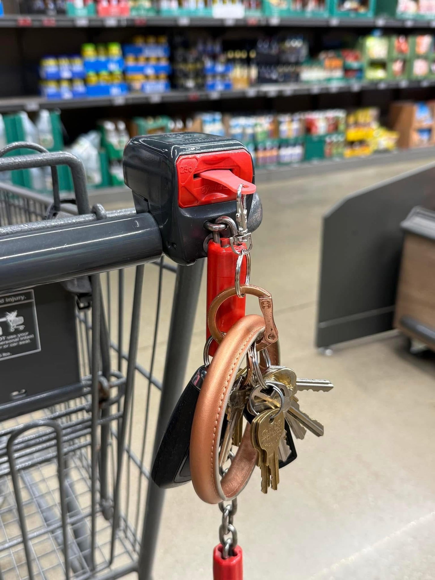 Aldi Quarter Holder Keychain – 3D Printed Shopping Cart Token | Reusable Coin for Carts